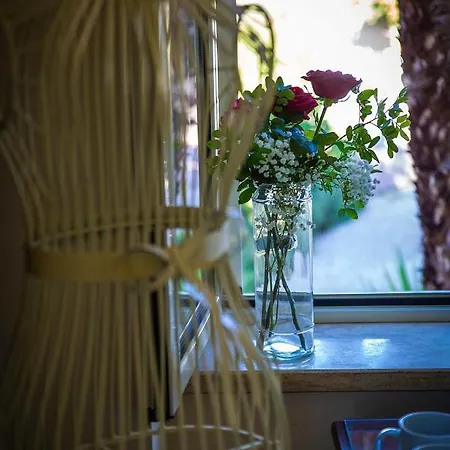 Bed & Breakfast La Residenza Torchiara